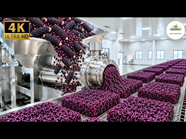 How Black Corn Is Transformed into Purple Instant Noodles: Automated Factory Line (Full Process)