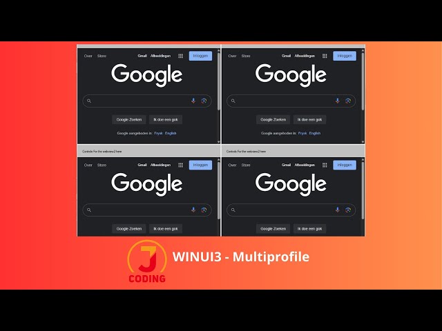 🚀 Winforms : Webview2 multiprofile