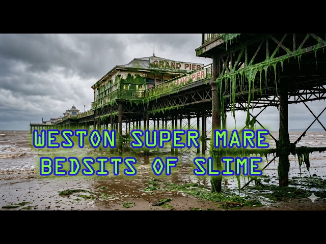 Slimy Bedsits Weston Super Mare