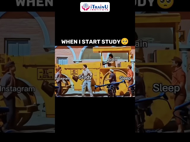 When you finally decide to study…
