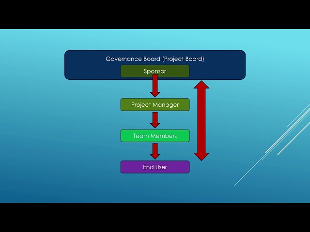 3. APM PFQ - Project Roles