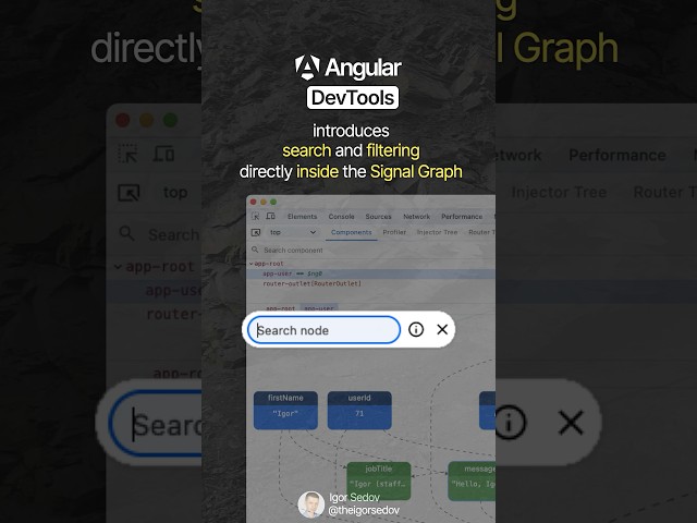 NEW Angular DevTools Feature: Signal Graph Search & Filtering #angular