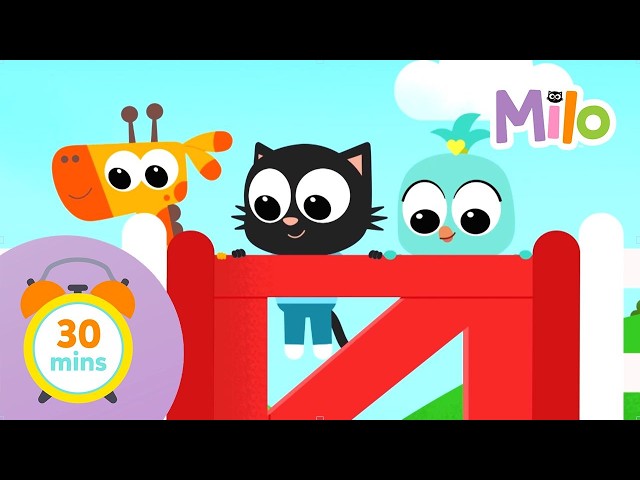 MILO THE VET | Milo Full Episodes | 35' Compilation
