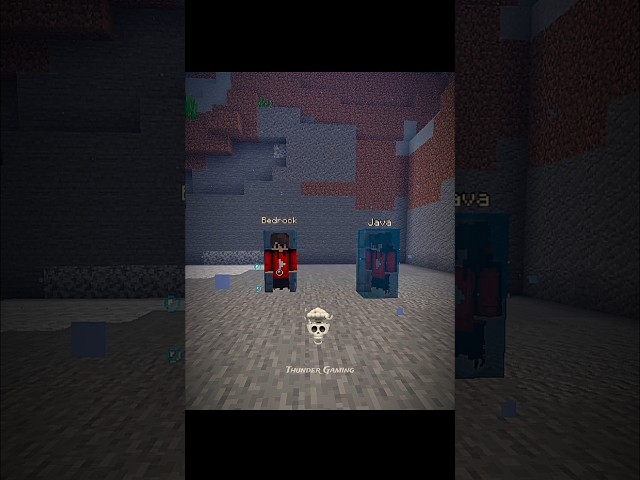 Minecraft Java Vs Bedrock Door Logic Moment