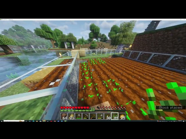 Let's Play Minecraft. Day on the homestead making it pretty.