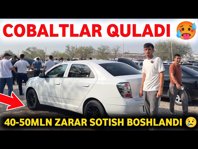 3 сентября 😨 ЙИЛИ ПАСТ КОБАЛЬТ СИНДИ БОЗОРДА ✅ COBALT NARXI QULADI 2026😱 CHIROQCHI BOZORI 2026 ‼️ 
