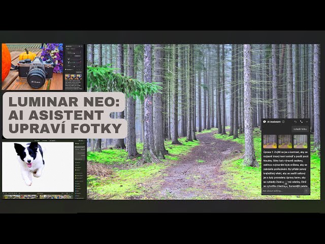 Luminar Neo: Nevíte, jak upravit fotky? AI Asistent pomůže