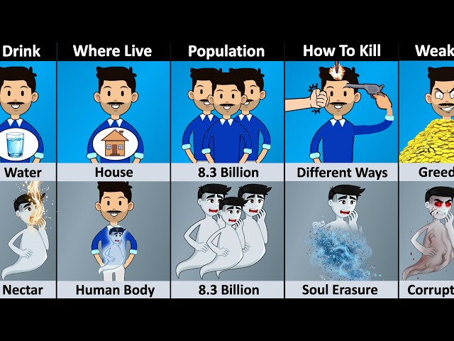 Human vs Soul - Comparison