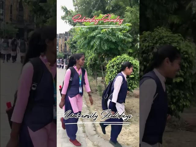 🔴 Kashi Naresh University Bhadohi Holiday Update | Saturday-Sunday छुट्टी रहेगी? | KNUB Latest News