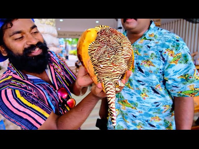 Cooking Big Snail | ഭീകര ശങ്കിനെ ചുട്ടു കഴിച്ചപ്പോൾ | M4 Tech |