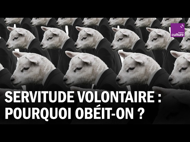 Comprendre le "Discours de la servitude volontaire" d'Étienne de La Boétie