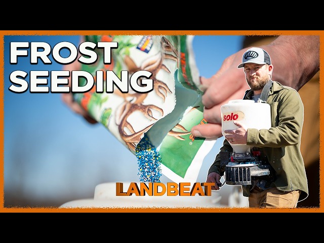 What You Can Do Right Now For Your Deer!