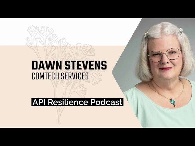 Minimalism Beyond Personas: Slicing Documentation for AI - API Resilience Podcast with Dawn Stevens