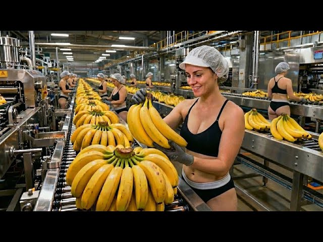 How It's Made: Banana Bread | Automated Factory Process (AI Generated Documentary)