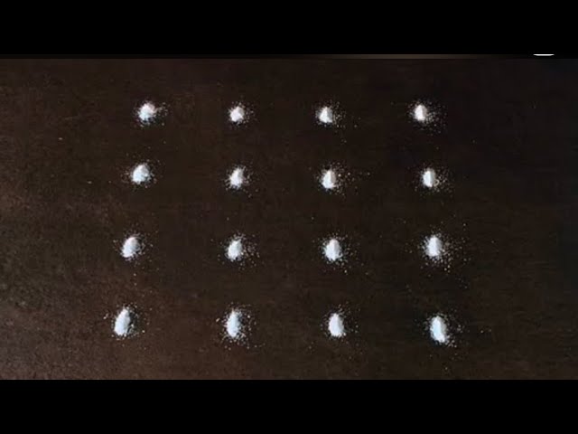 5×3dots easy rangoli|daily muggulu|thipkyanchi,festival rangoli|traditional rangoli#Rang kaa Rangoli