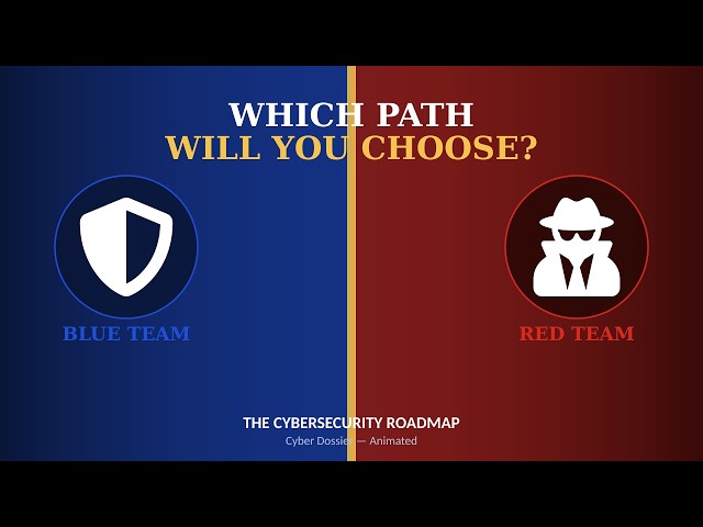 The Cybersecurity Roadmap: From Beginner to Professional (Animated)