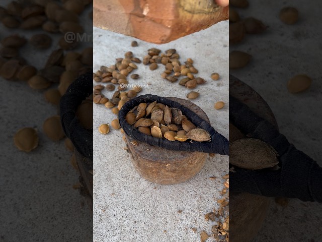 The Old Art of Cracking Nuts — Traditional Hand Processing of Almonds.