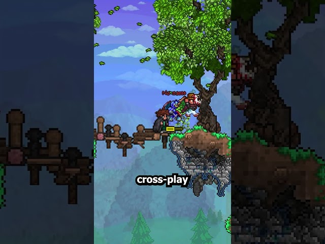 What’s NEXT For Terraria 1.4.6?