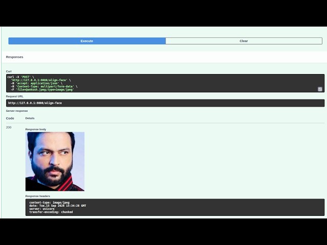 FastAPI  face alignment