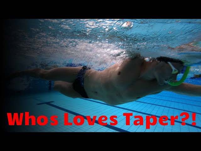 Loving Taper Life - Putteridge Meet VLOG