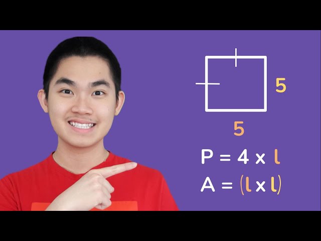 Find the Area and Perimeter of Squares