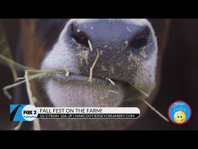 Marcoot Creamery is the farm to be at this Fall!