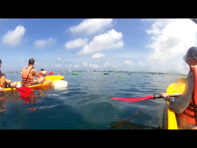 澎湖獨木舟_海上養蚵人家