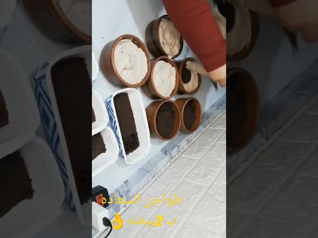 الوصفه كامله علي القناه 👌