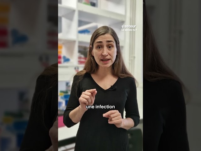 Tes racines immunitaires