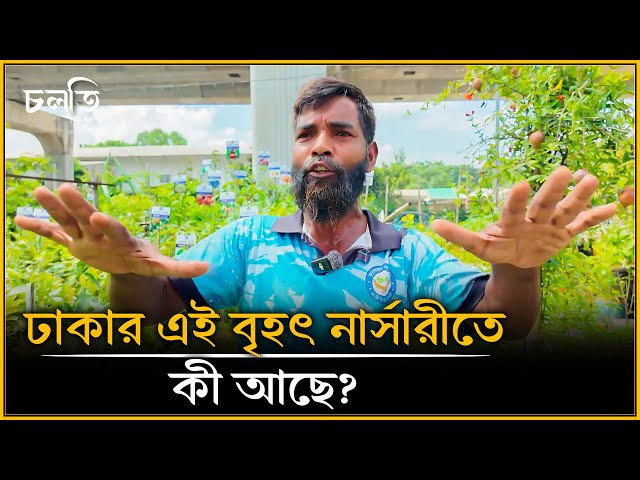 ৩০/৩৫ বছর আগে জানতোই না, এখন সব জায়গায় ছড়িয়ে গেছে | চলতি