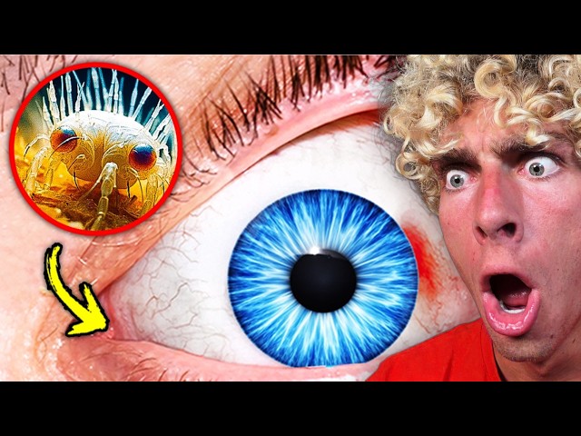 99 SCARY Facts About You