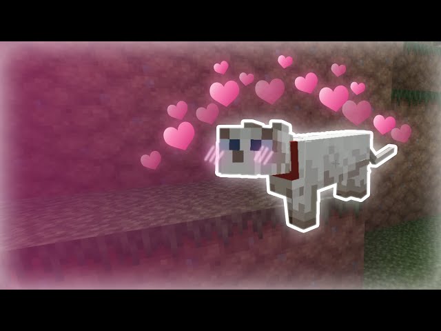 Taming a CUTE KITTY!! | Minecraft HC #1