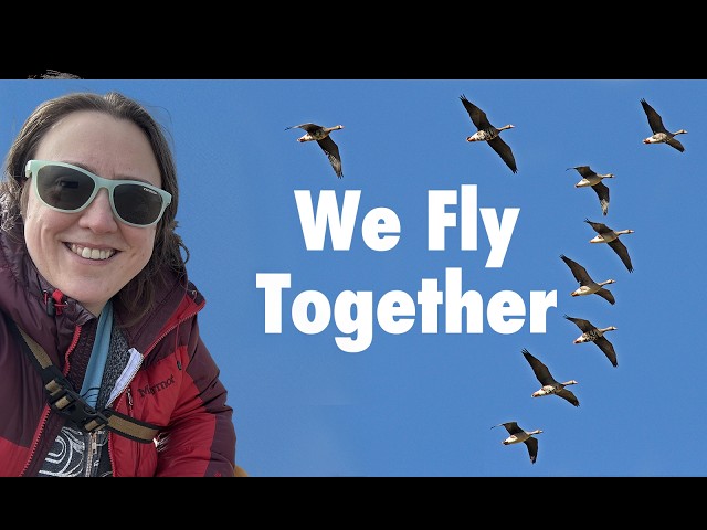We Fly Together Introduction