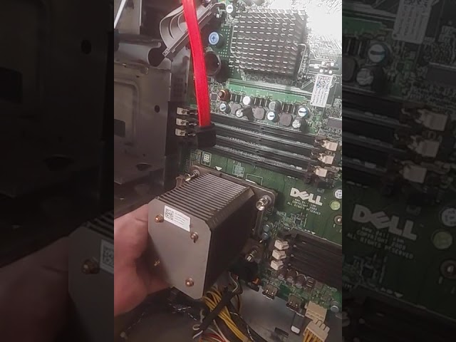 Best CPU flavor 🦾🦾🦾 #linux #computers
