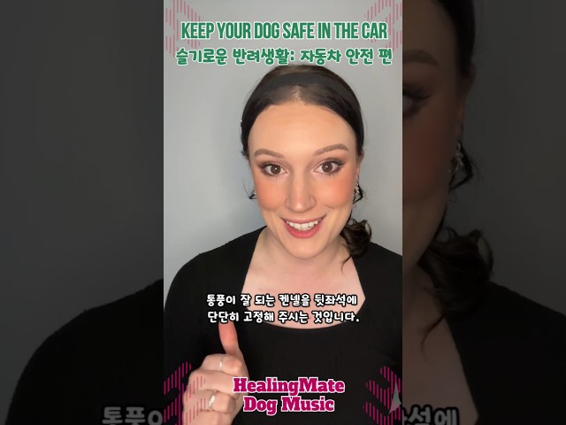 🐶💖Keep Your Dog Safe in the Car💖🐶