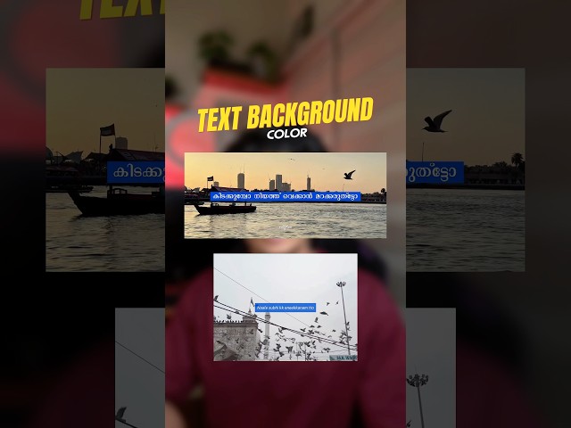 TRENDING TEXT BACKGROUND COLOR VIDEO EDITING TUTORIAL | ASIF OMAR