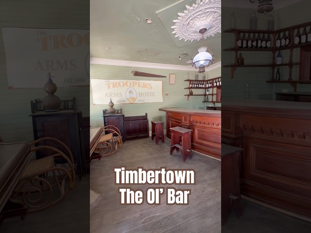 Timbertown The Ol’ Bar #shorts #travel #urbanexploration #timbertown