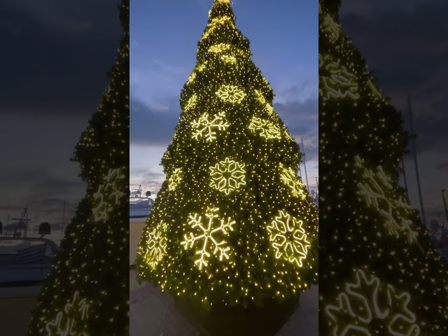 29 December 2024