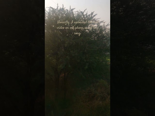 Honestly, I uploaded the last video on my phone... #atlantis #aesthetic