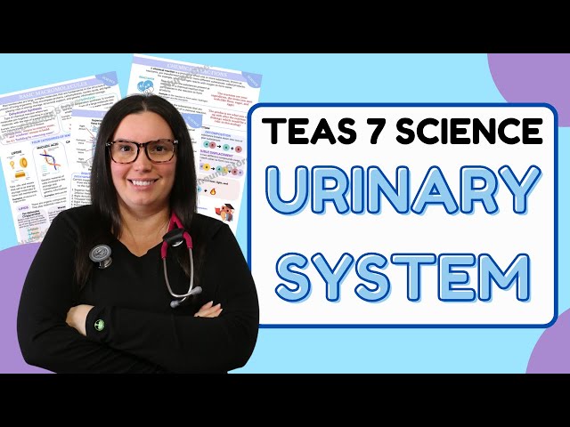 2025 ATI TEAS 7 Science Anatomy and Physiology Urinary System with Nurse Cheung