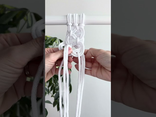 ✨ #macrame #macrametutorial #macrameinspiration #macramelove #macramepatterns #macrameknots