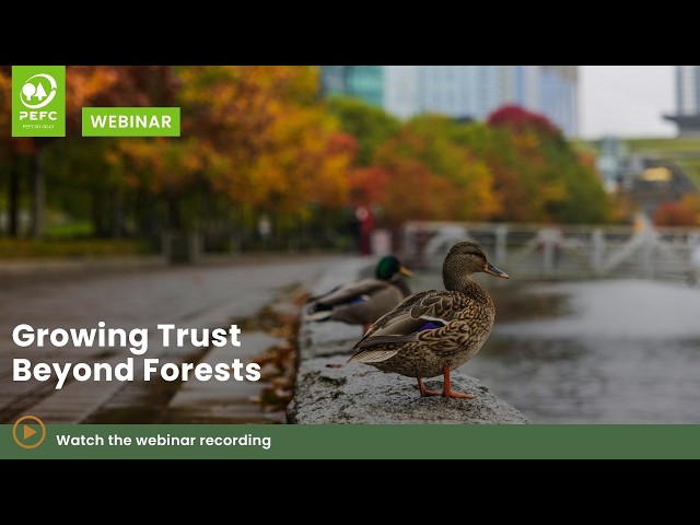 Growing Trust Beyond Forests: PEFC certification for urban forestry and agroforestry