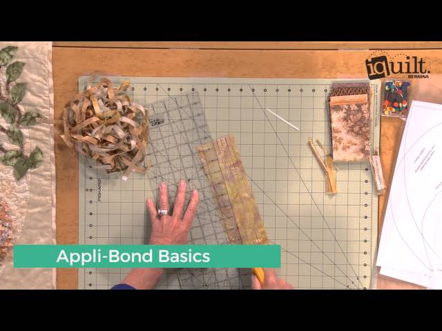 Easy Appli-Bond Bald Eagle iquilt Course