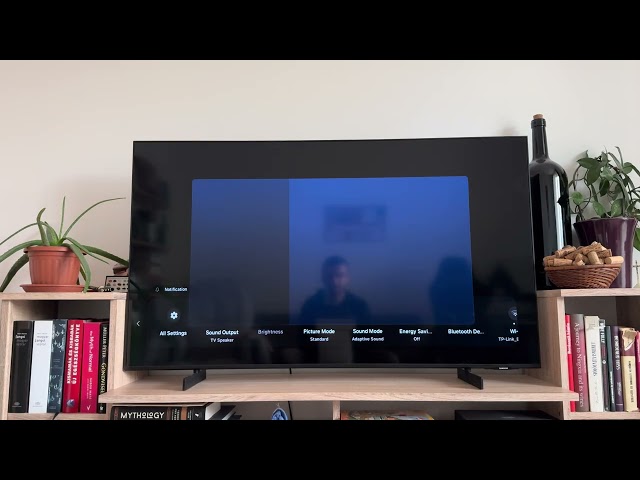 How to Make Mouse Pointer Bigger on Samsung TV?