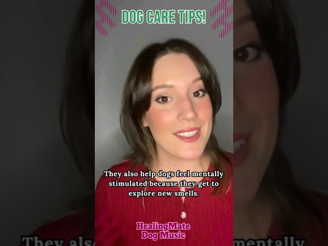 🐶💖Dog Care Tips!💖🐶