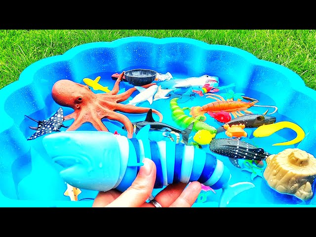 Learn sea animal names for babies, toddlers, preschoolers, kids