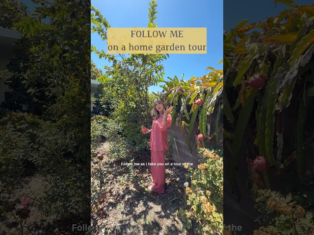 Follow me on a home garden tour 🌳🍋🍊 #gardening #gardentips