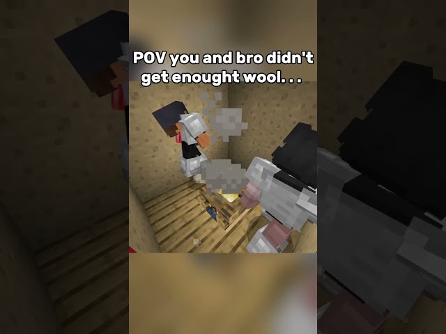 POV you and bro didn't get enough wool #gaming  #minecraft #funny