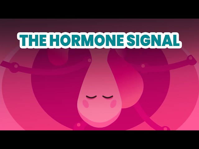 How Does Your Body Know When to Change?