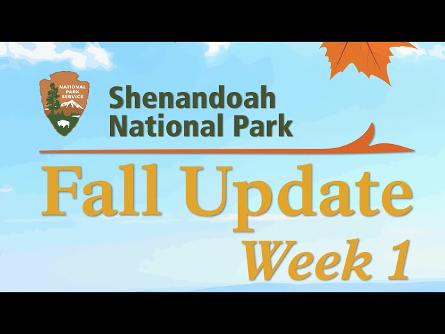 Week 1 - September 24, 2026